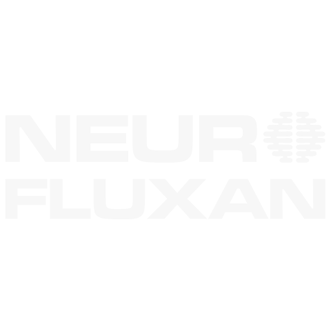 Logo NeuroFluxan